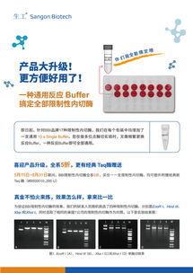 生工生物推出buffer改進型內切酶5折促銷