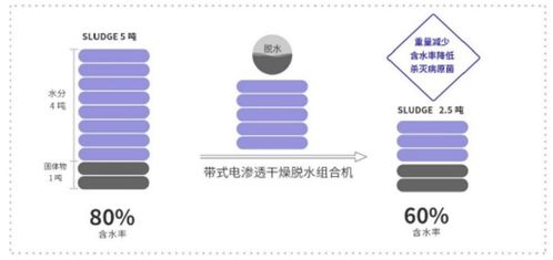 新環環保 污泥處置先進技術產品服務商，引領綠色環保新未來